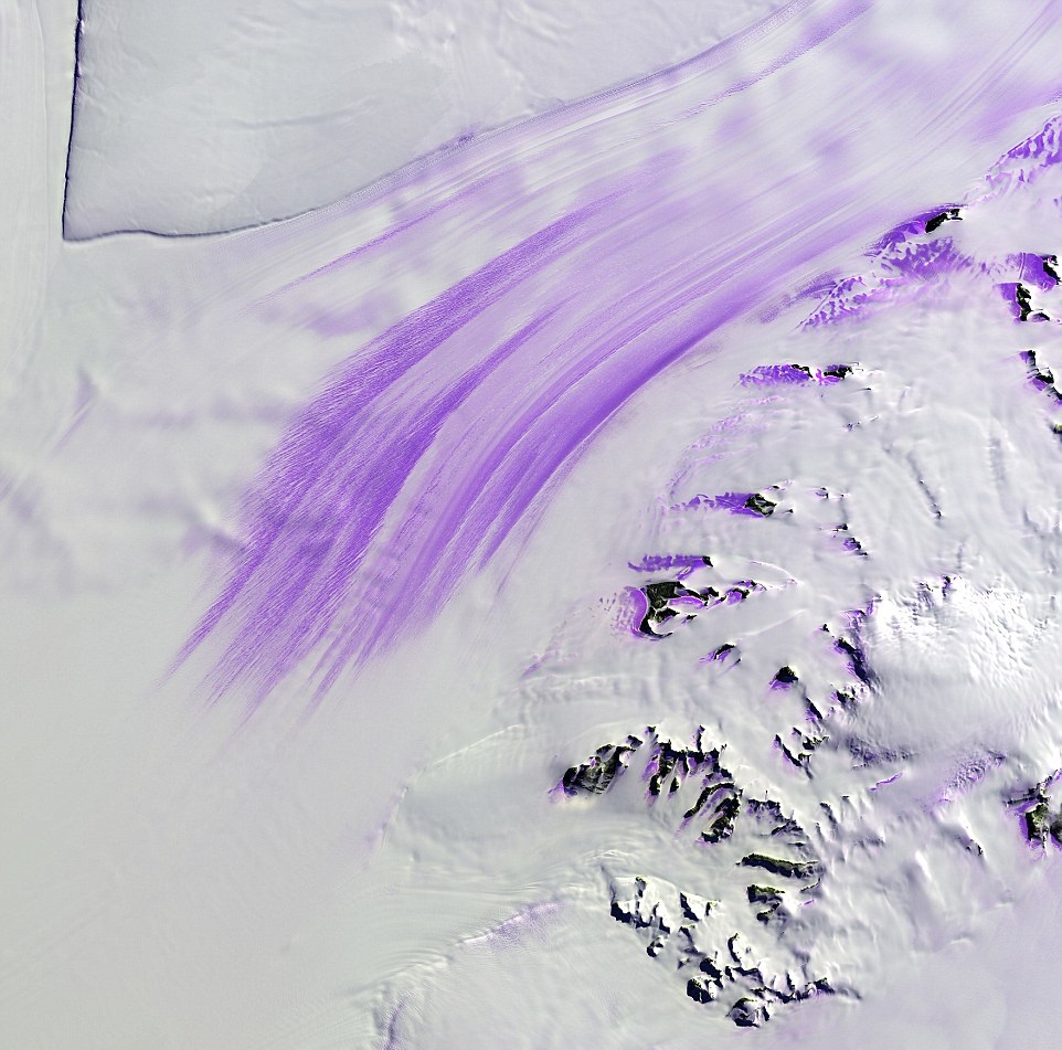 "Slessor Glacier in Antarctica flows between the angular promontory Parry Point on the top left of the image and the Shackleton Range on the lower right. The purple highlights are exposed ice. Strong winds blow away the snow cover and expose lines that indicate the glacier flow direction. Rock outcrops next to the glacier also exhibit some of this bare ice." - USGS
